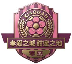 襄阳队
